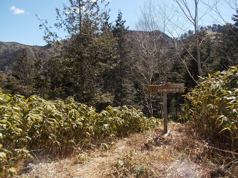 DSCN8597