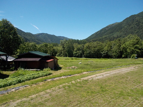 DSCN0965