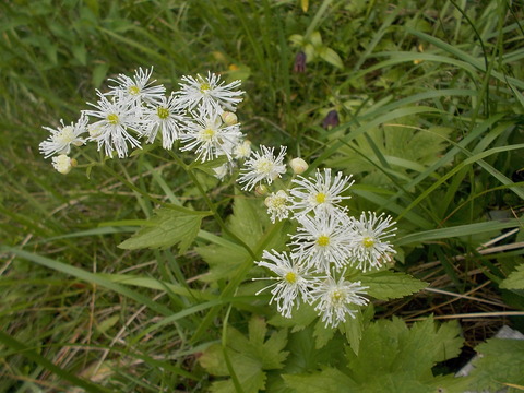 DSCN0622