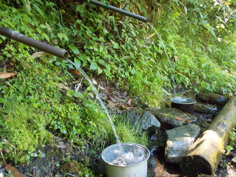 DSCN0944