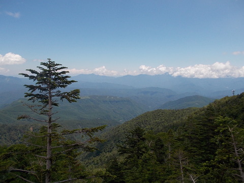DSCN0613