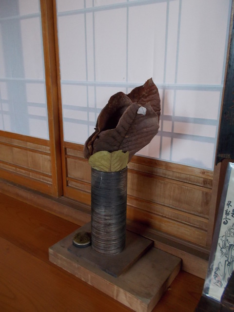 DSCN8528