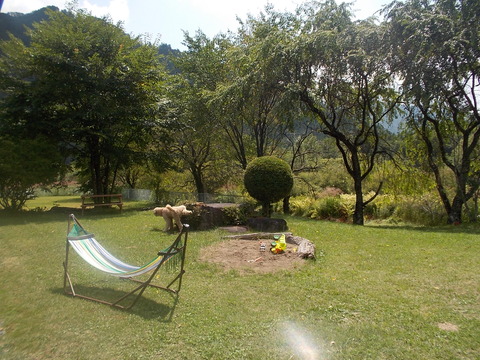 DSCN2436