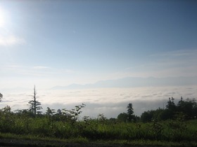 IMG_5568