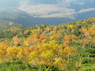 blogCIMG8657