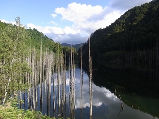 blogRIMG0045