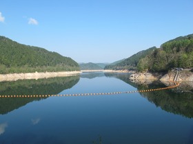 IMG_1101