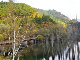 IMGP0385