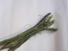 blogIMG_1938