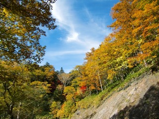 blogCIMG9183