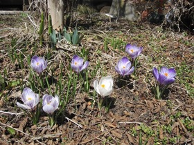 blog IMG_0425