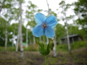 P1050325