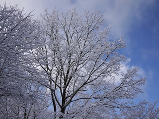 blogP1040686