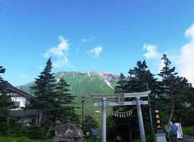 IMGP5006