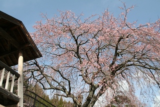 blogIMG_6679