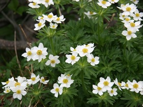 blogIMG_0063