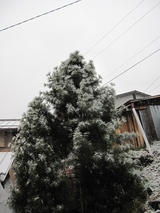 blogIMG_5885