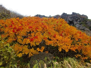 blogCIMG8695