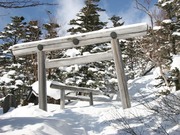 23IMG_7653