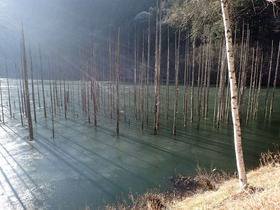 20161219-3