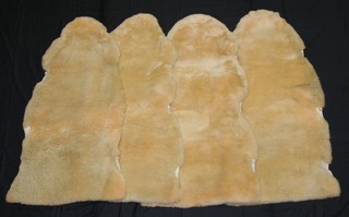 600x373i112436500
