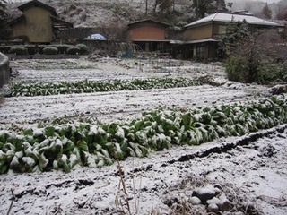 blogIMG_1408