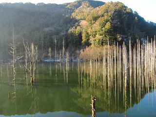 blogCIMG9755