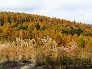 blogCIMG9180