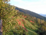 blogimage5