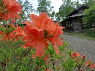 blogCIMG3148