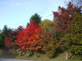 P1060202