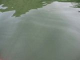 ¸÷¤Î¥«¡¼¥Æ¥ó¡Ê¿åÌÌ¡Ë