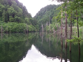 IMGP2355