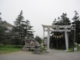 bogIMG_0068