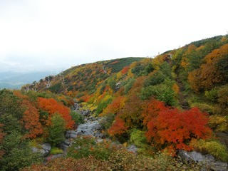 blogCIMG8733