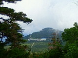 3c570b45.jpg