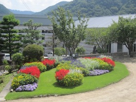blog IMG_0178