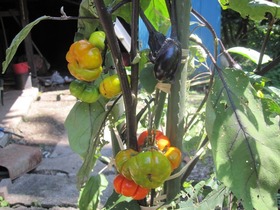 blogIMG_0167