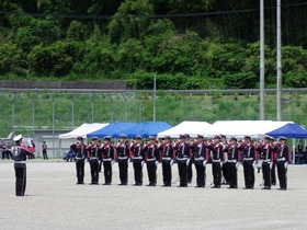 IMGP2501