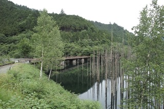 blogSDIM0061