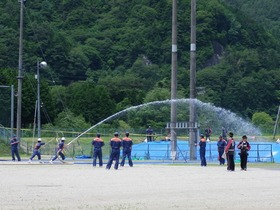 IMGP2497