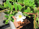 blogIMG_4211