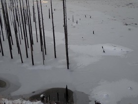 20170110-2