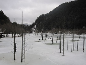 blogIMG_0019