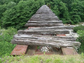 IMGP2823