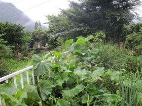 blogIMG_0312