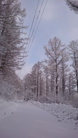 20170310-5