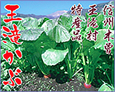 kabu_top_20091105