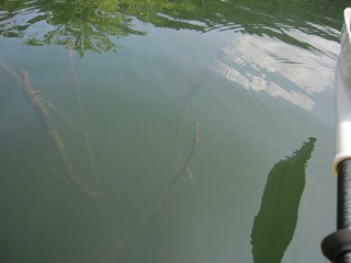 104-0646_IMG