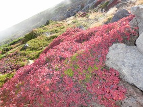blog DSC01061